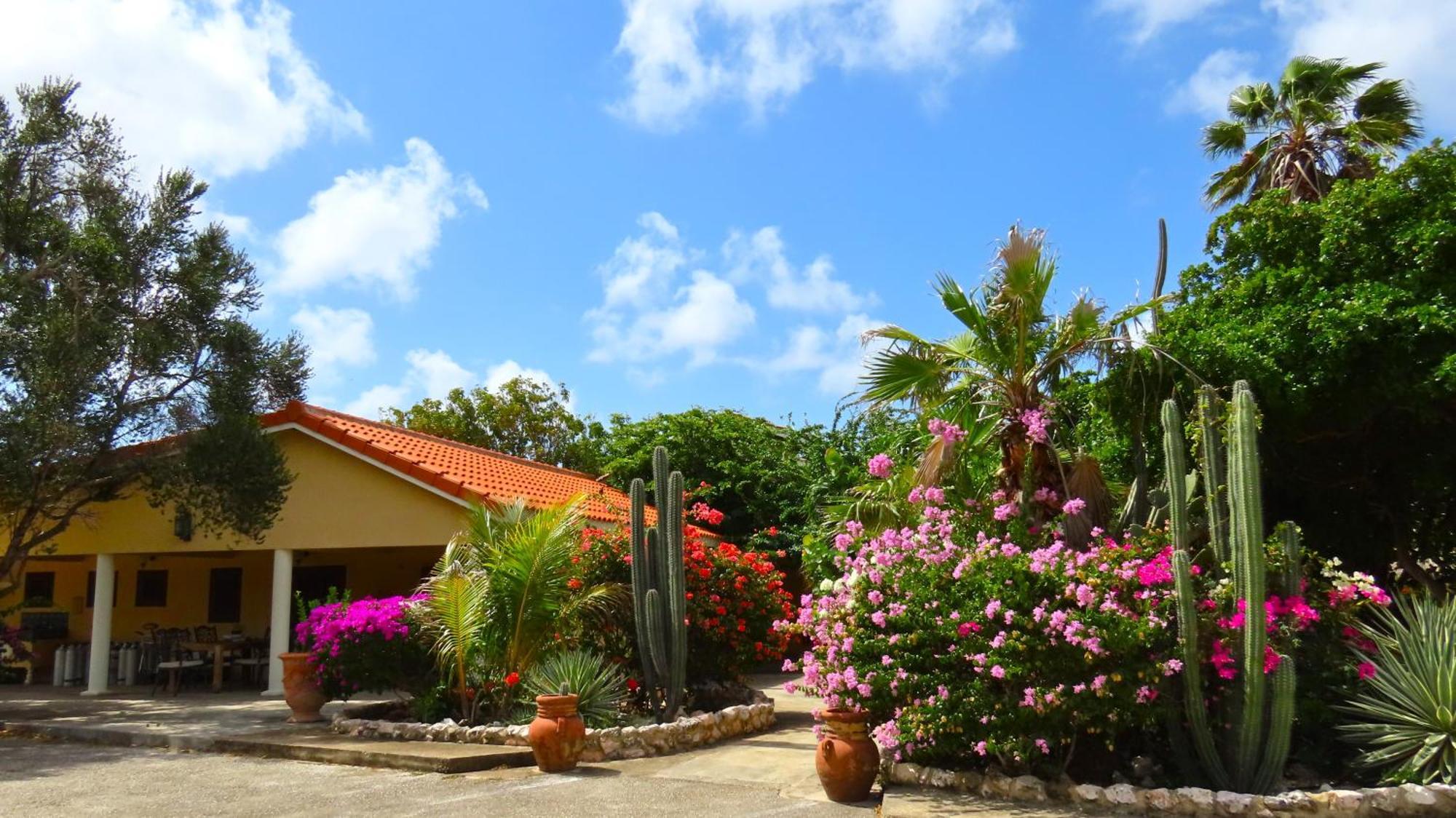 Lagun Blou Resort Curacao Esterno foto
